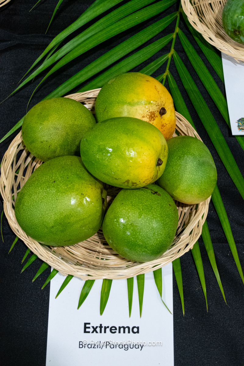 Extrema Mango Extrema mango fruit