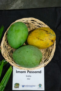 Imam Passand mango fruit