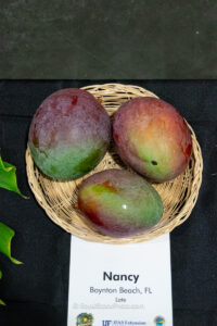Nancy mango fruit