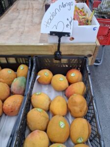 Haden mangoes in market display
