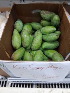 Keo Savoy mangoes in market box