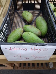 Valencia Pride mangoes in market crate