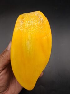 Nam Doc Mai #4 mango cheek showing smooth yellow flesh