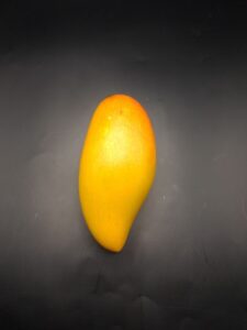 Nam Doc Mai #4 whole ripe mango fruit