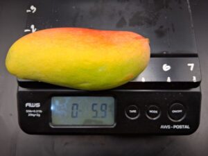 Maha Chanok mango weighing 5.9 ounces