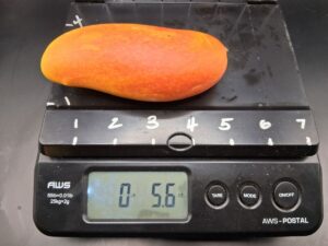 Maha Chanok mango weighing 5.6 ounces