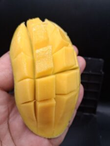 Orange Sherbet mango cut open showing yellow-orange flesh - Orange Sherbet mango
