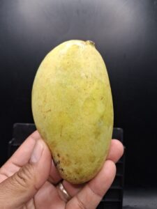 Whole Orange Sherbet mango side view - Orange Sherbet mango