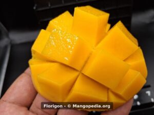 Florigon mango cut into cubes showing rich yellow-orange flesh - Florigon mango