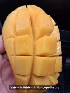 Valencia Pride mango cut into cubes showing orange flesh - Valencia Pride mango