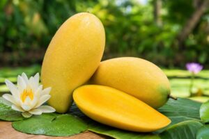 AI-generated illustrative thumbnail for the Golden Waterlilly mango page