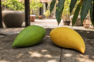 AI-generated illustrative featured image for the Keo Sruoch mango page