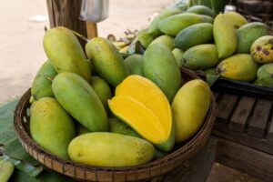 AI-generated illustrative featured image for the Keo Thalung mango page