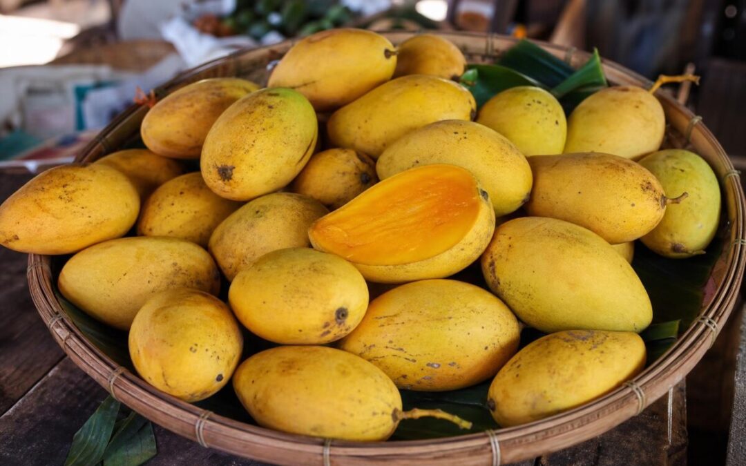Svay Chaes