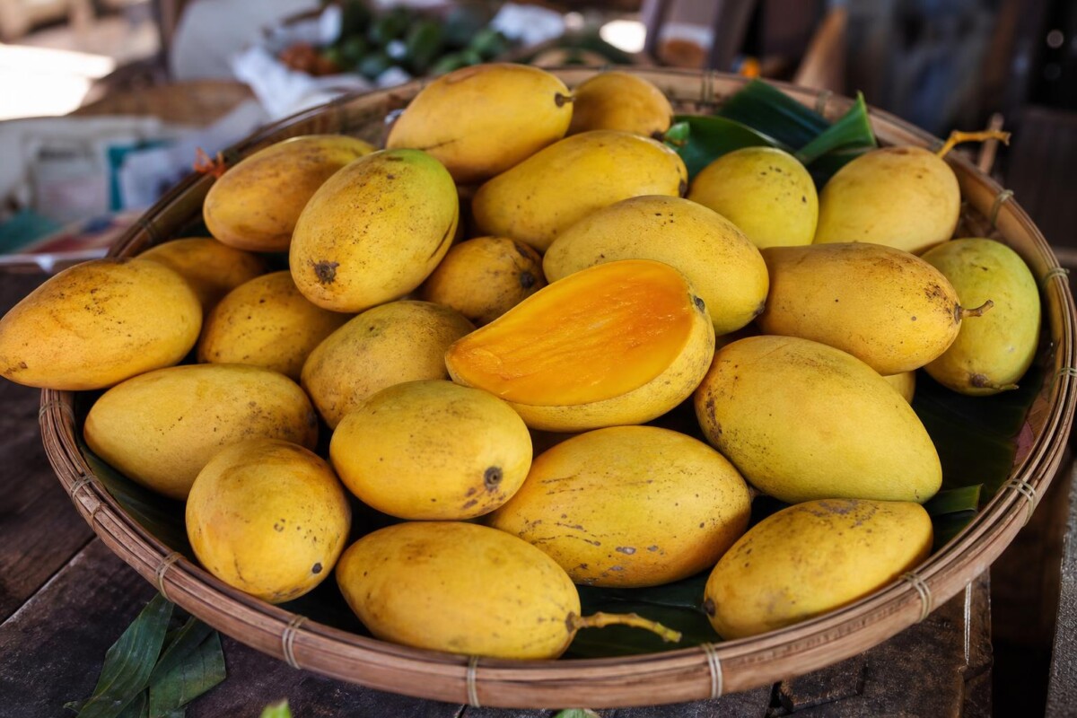 AI-generated illustrative featured image for the Svay Chaes mango page
