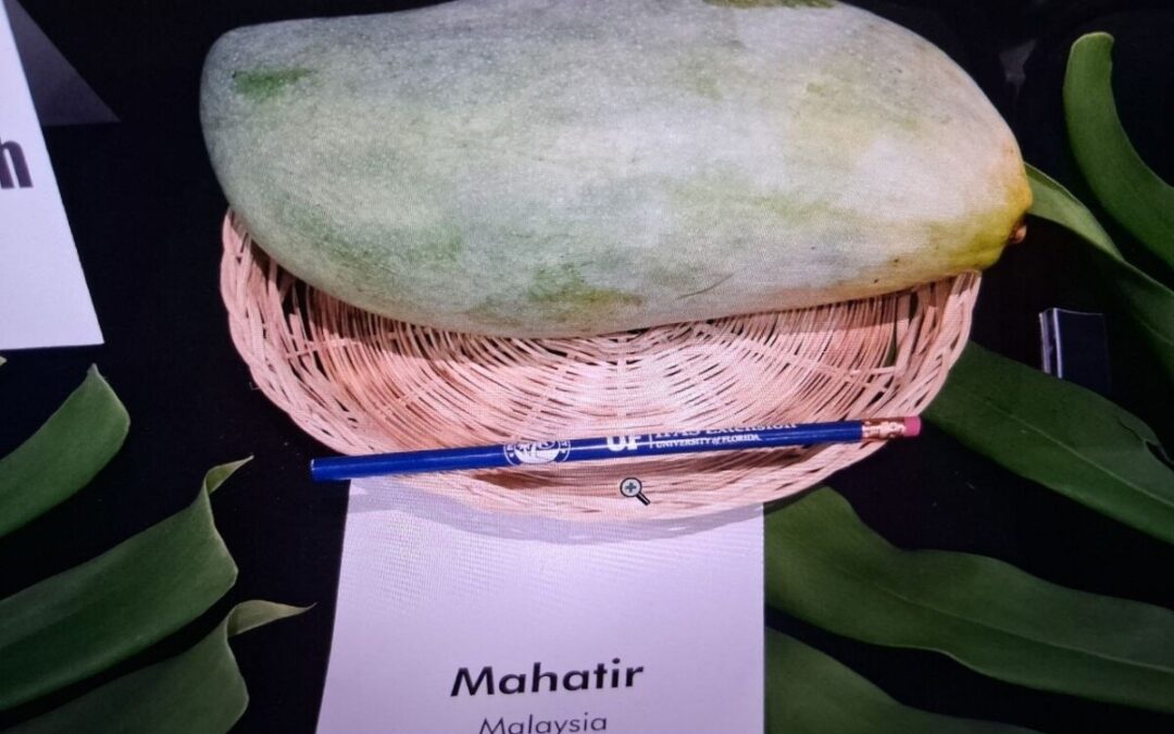 Mahatir