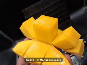 Guava mango cut into cubes showing smooth orange flesh - Guava mango