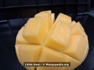 Closeup of Little Gem mango cut flesh showing smooth pale yellow texture - Little Gem mango