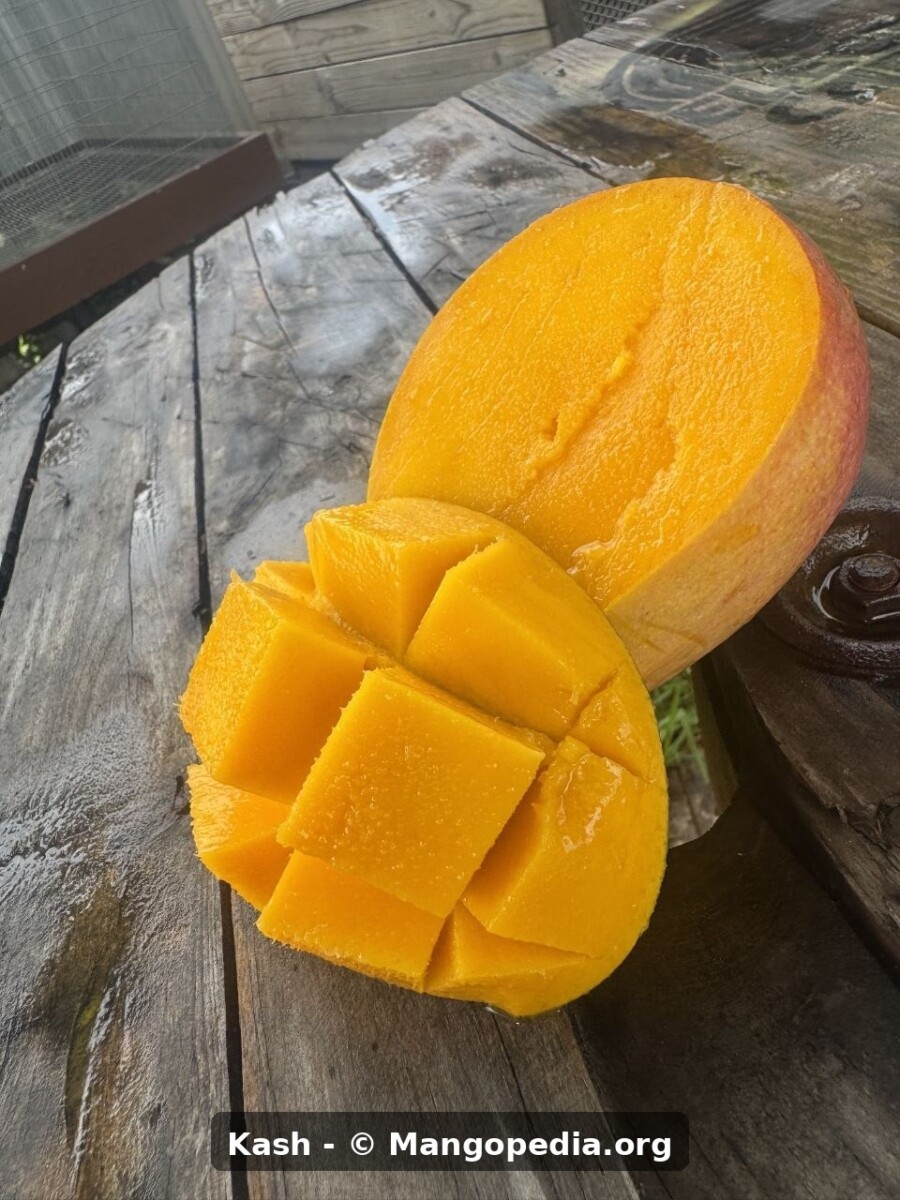 Kash mango cut fruit