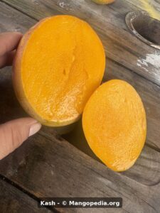 Kash mango cut fruit