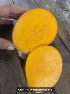 Kash mango cut fruit