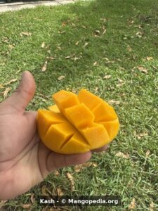 Kash mango diced fruit