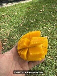 Kash mango diced fruit
