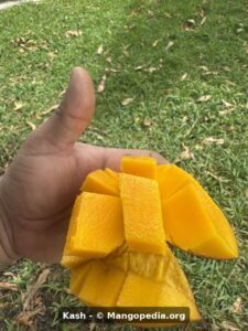 Kash mango cut fruit