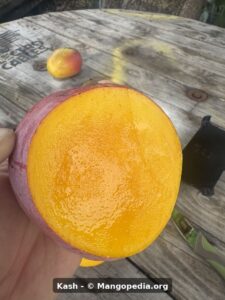 Kash mango cut fruit
