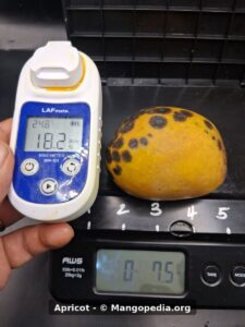 Apricot mango Brix meter reading 18.2 - Apricot mango