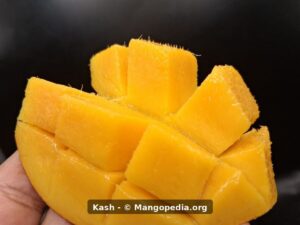 Kash mango cut cheek cubes showing orange flesh - Kash mango