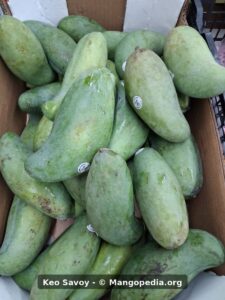 Box of Keo Savoy mangoes at market - Keo Savoy mango