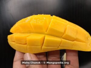 Maha Chanok mango cut cheek with bright orange flesh - Maha Chanok mango
