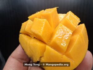 Mong Tong mango cut cheek closeup showing juicy dark orange flesh - Mong Tong mango