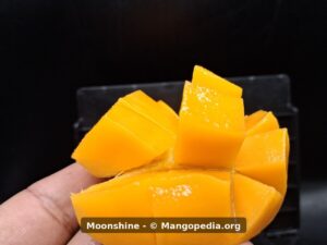 Moonshine mango cut cheek showing cubed bright orange flesh - Moonshine mango