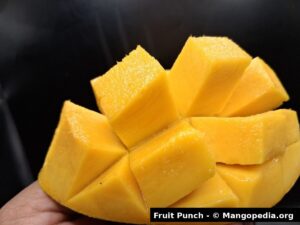 Fruit Punch mango cut cheek showing bright golden yellow fiberless flesh - Fruit Punch mango