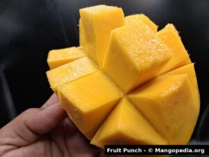 Fruit Punch mango cut cheek with cubes and juicy golden flesh closeup - Fruit Punch mango