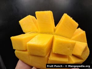Fruit Punch mango cut cheek showing firm yellow orange flesh and clean cubes - Fruit Punch mango