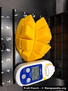 Fruit Punch mango Brix meter reading 24.2 with cut fruit - Fruit Punch mango