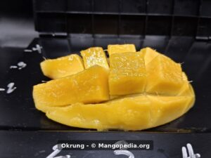 Okrung mango cut cheek with cubed flesh and measuring marks - Okrung mango