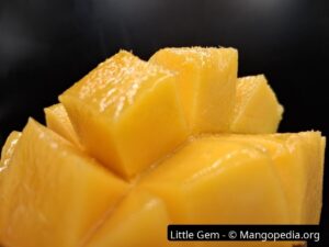 Little Gem mango cut cheek closeup showing glossy golden orange fiberless flesh - Little Gem mango
