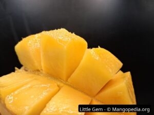 Little Gem mango cut cheek closeup showing smooth juicy cubes - Little Gem mango